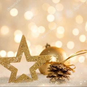 Meet your Posher, Holiday